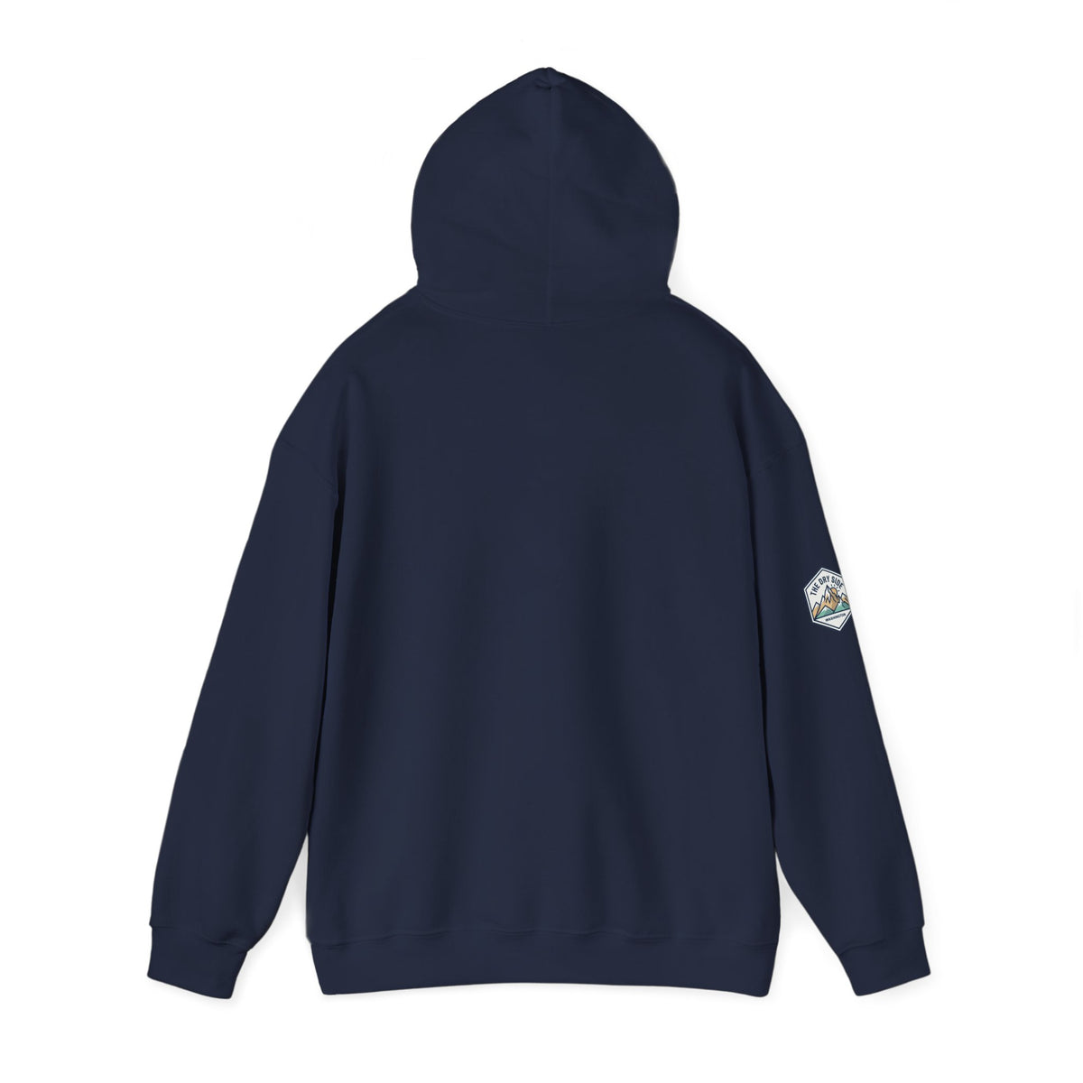 Three Schnoodle Puppies Hoodie