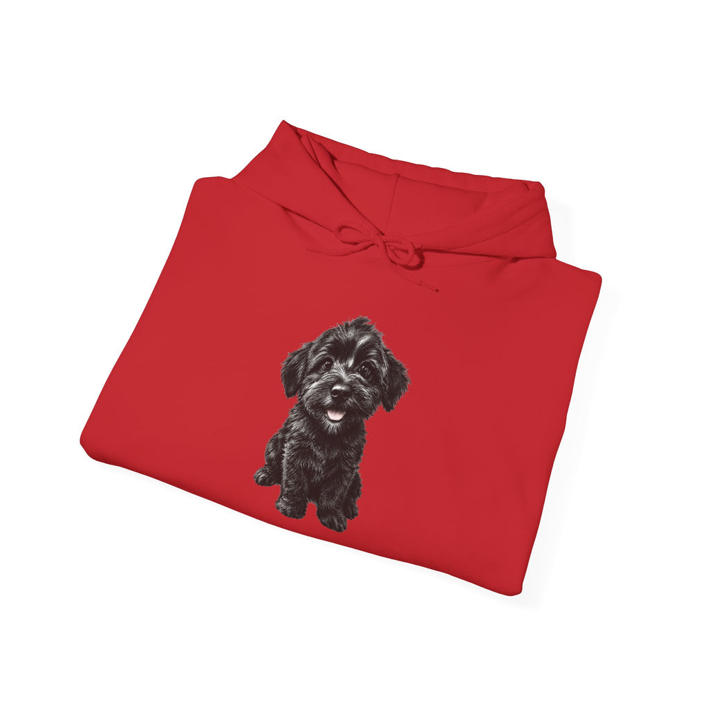 Sweat à capuche pour adorable chiot Schnoodle noir