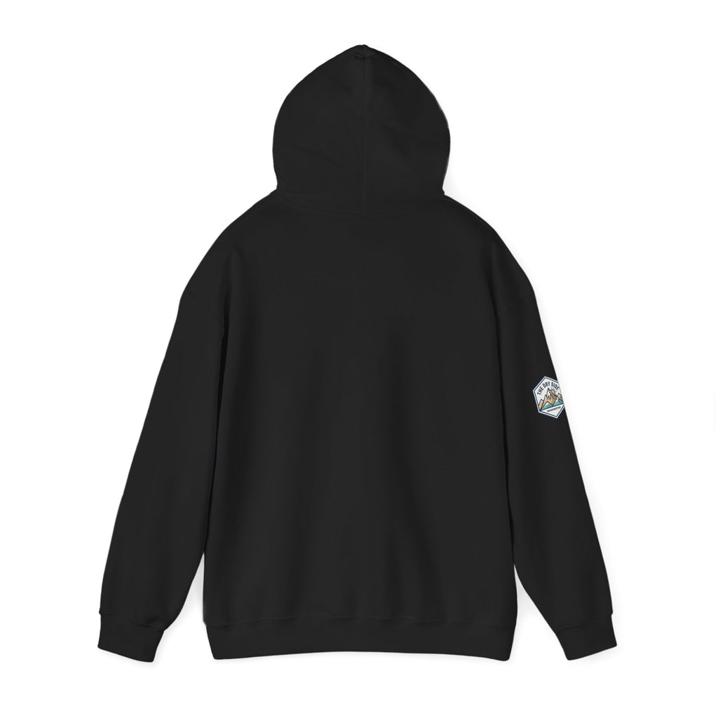 Three Black Schnoodle Puppy Graphic Hoodie