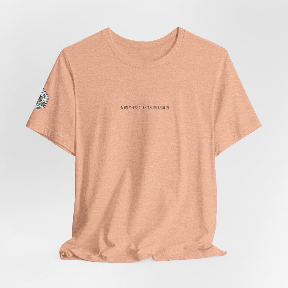 I Am Only Here for an Alibi Minimalist Graphic T-Shirt