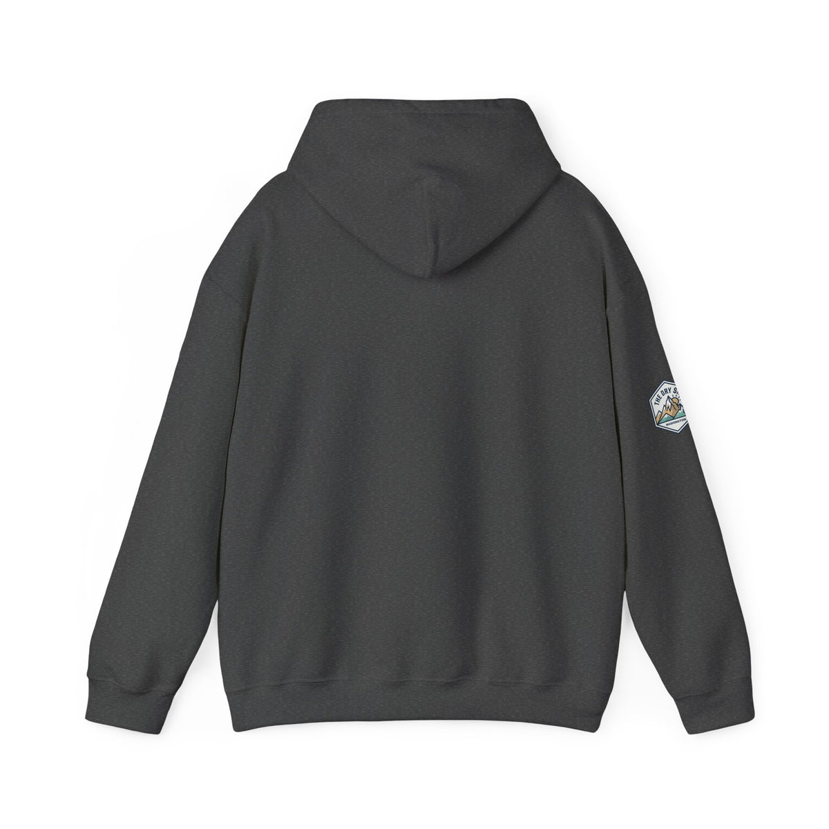 Three Schnoodle Puppies Hoodie
