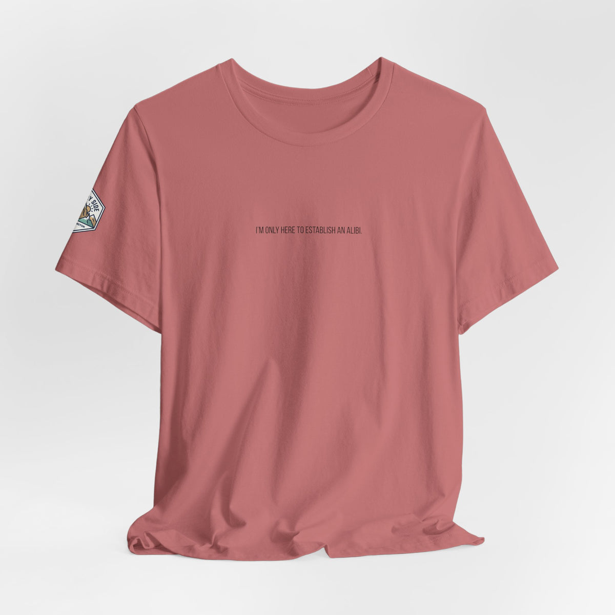 I Am Only Here for an Alibi Minimalist Graphic T-Shirt