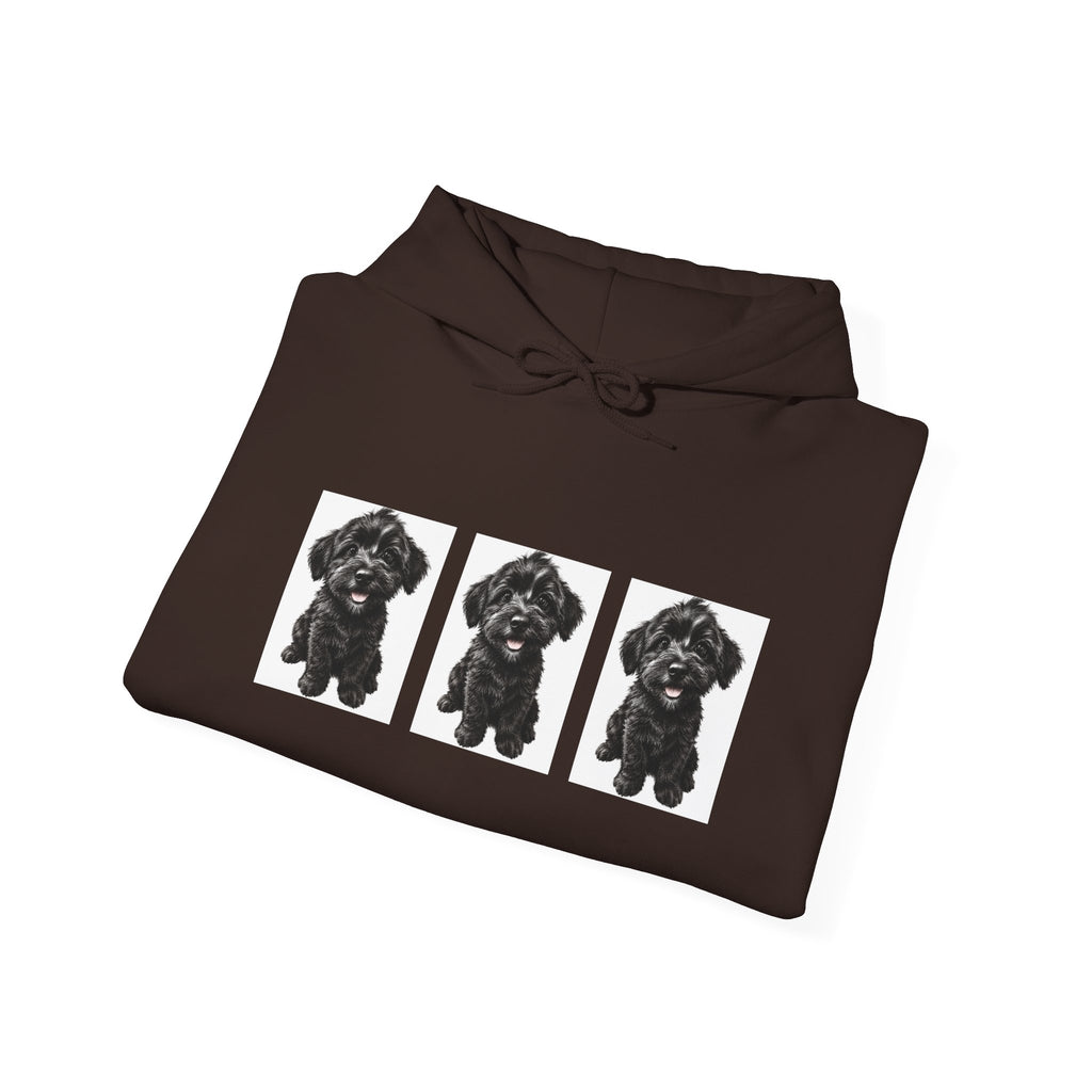 Three Black Schnoodle Puppy Graphic Hoodie