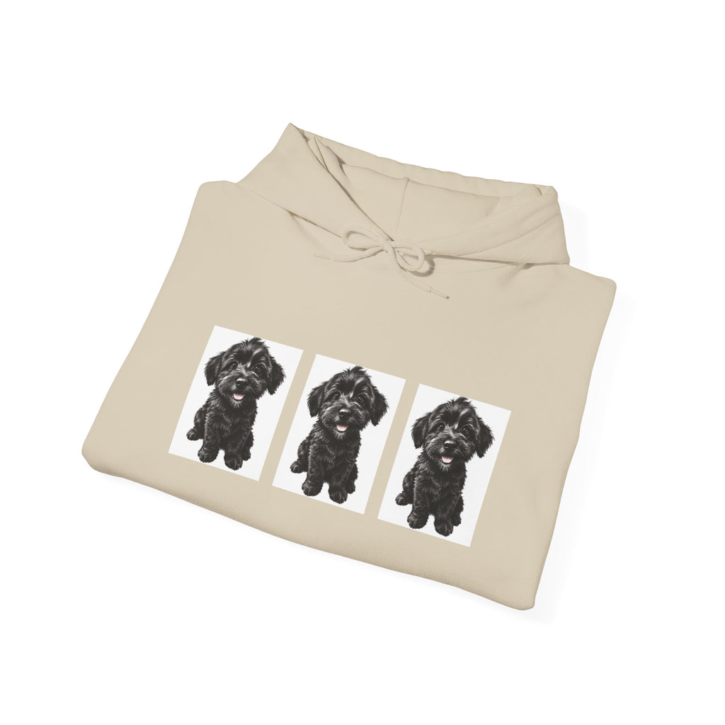 Three Black Schnoodle Puppy Graphic Hoodie