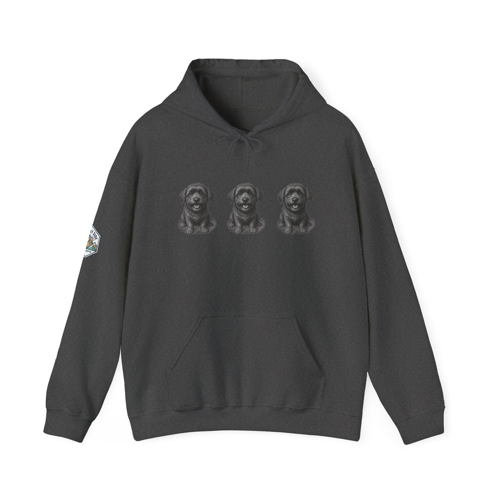 Three Schnoodle Puppies Hoodie