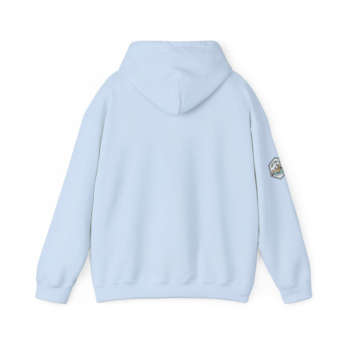 Three Schnoodle Puppies Hoodie
