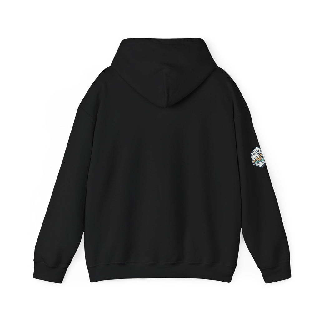 Three Schnoodle Puppies Hoodie