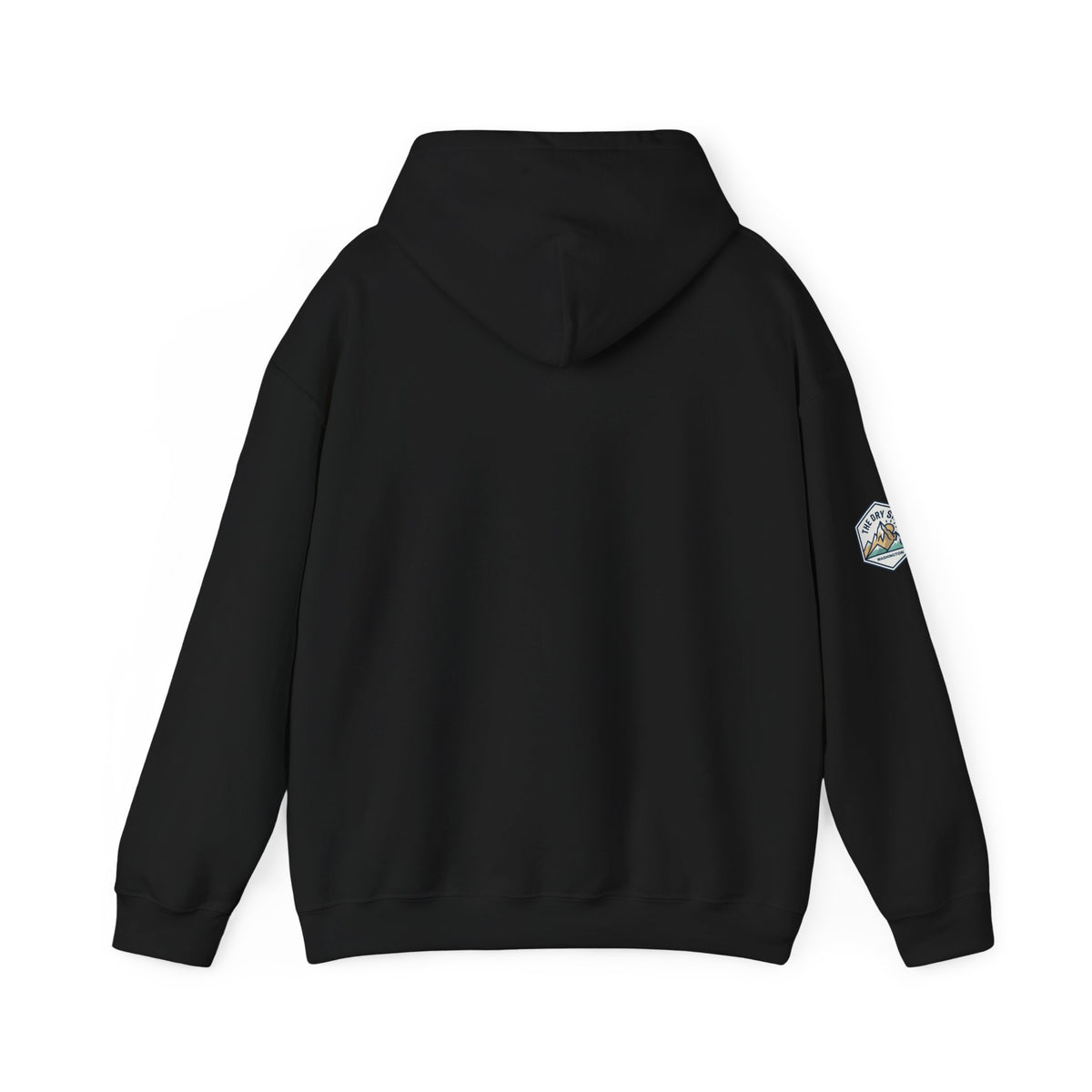 Three Schnoodle Puppies Hoodie