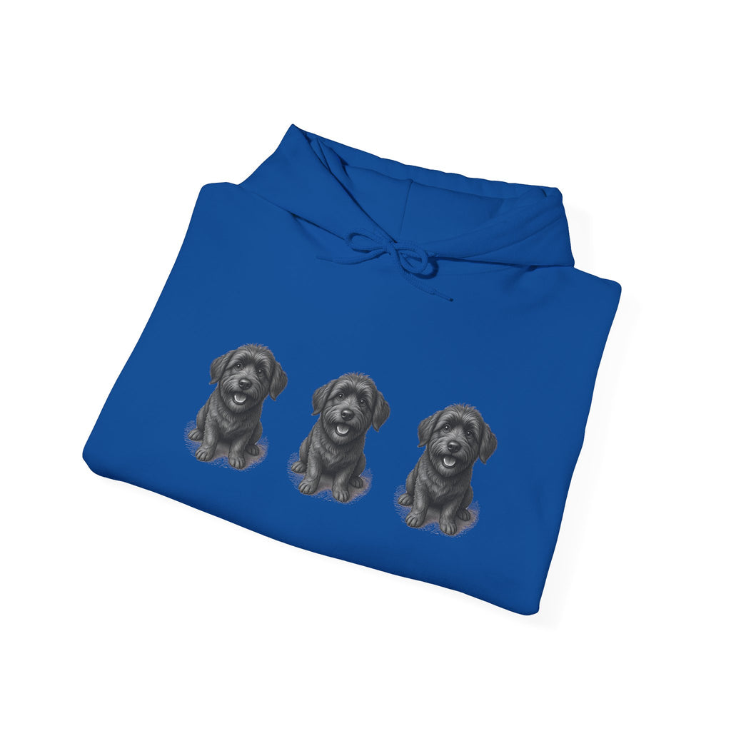 Three Schnoodle Puppies Hoodie