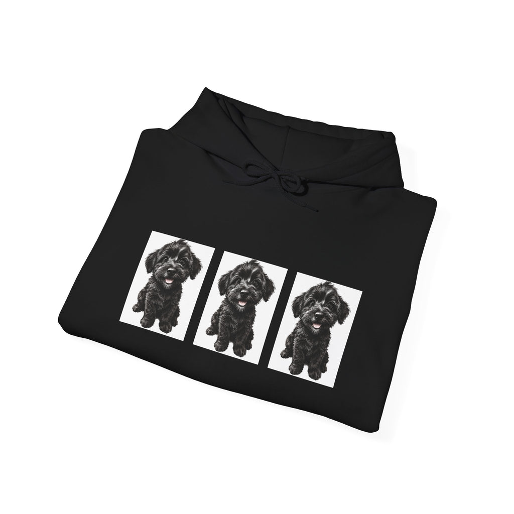 Three Black Schnoodle Puppy Graphic Hoodie
