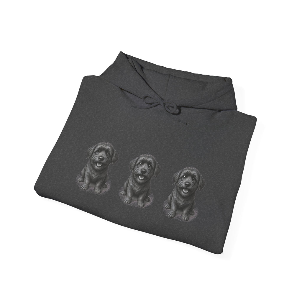 Three Schnoodle Puppies Hoodie