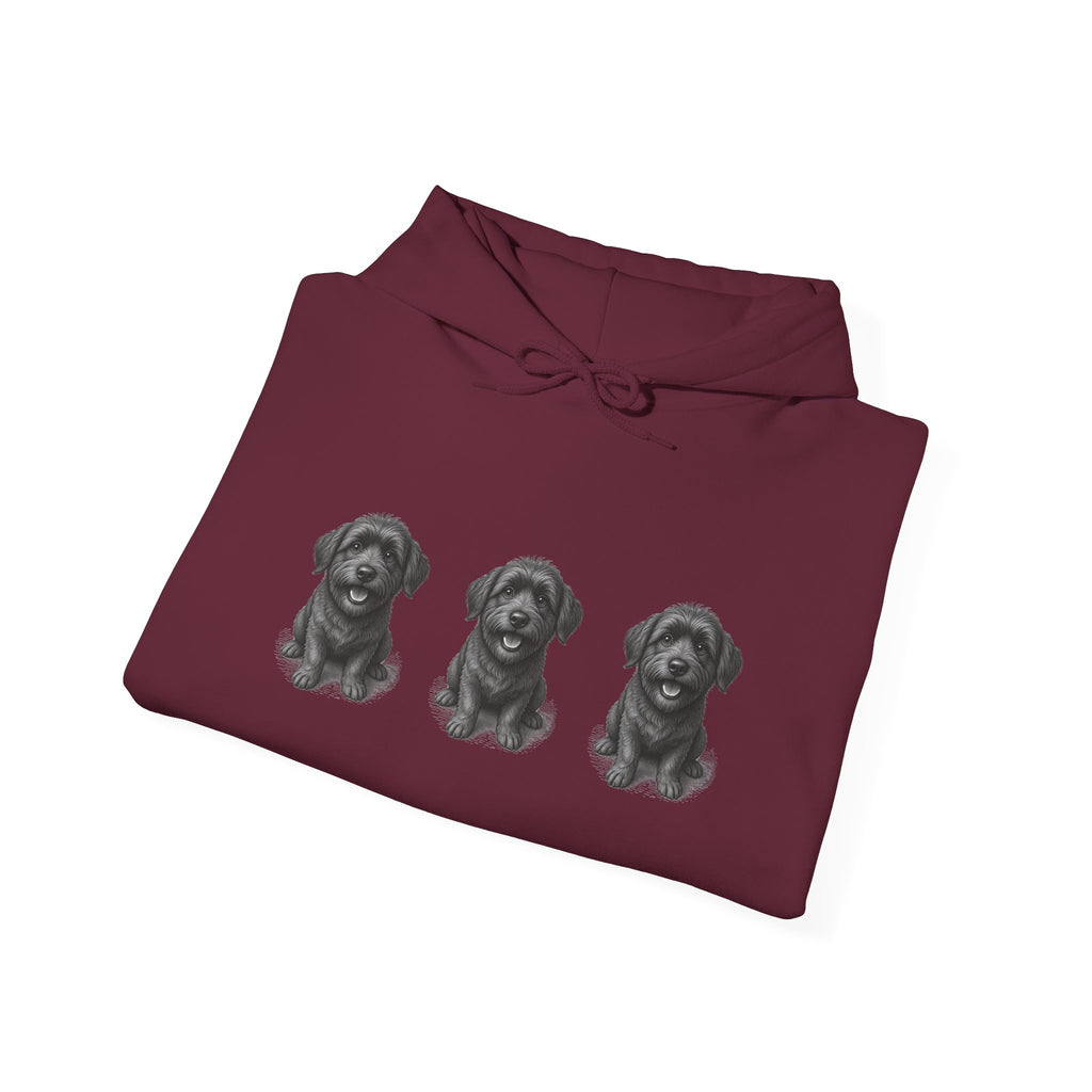 Three Schnoodle Puppies Hoodie