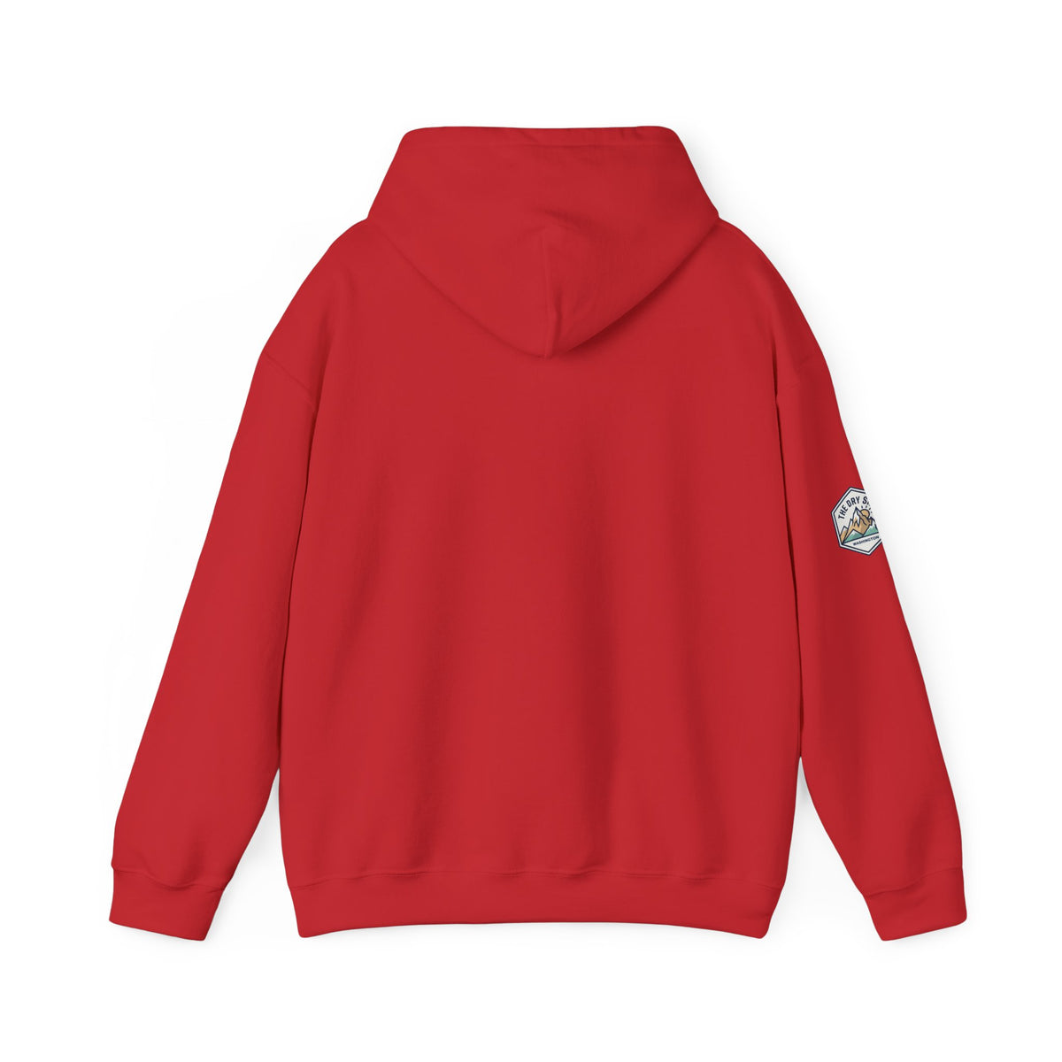 Three Schnoodle Puppies Hoodie