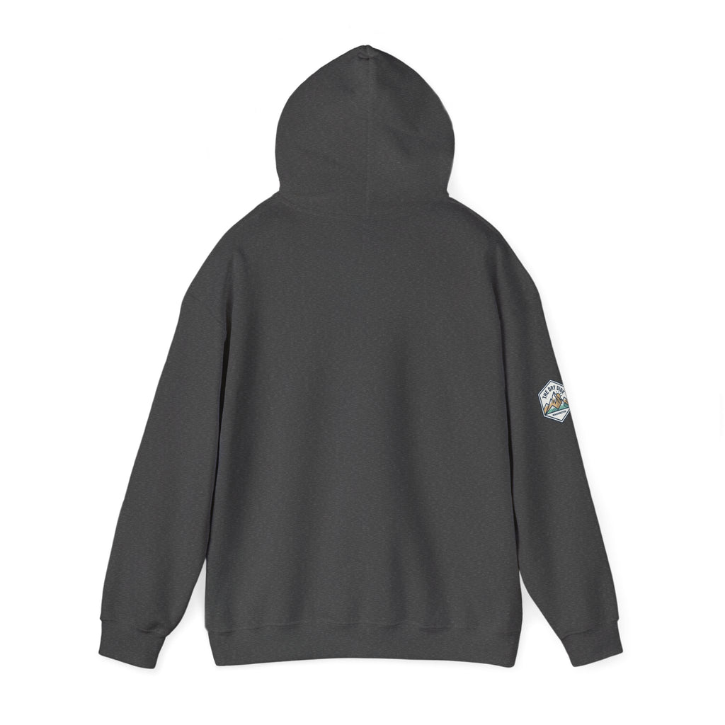 Three Schnoodle Puppies Hoodie