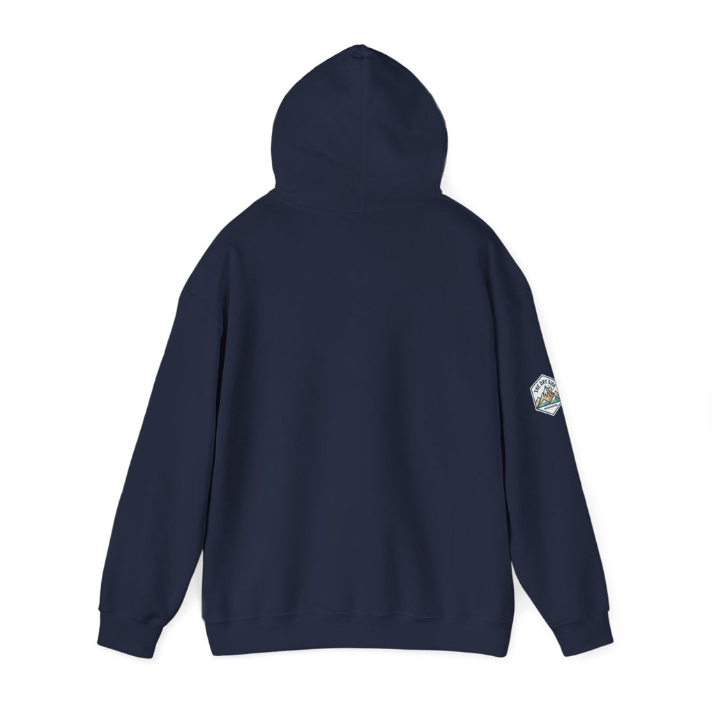 Three Black Schnoodle Puppy Graphic Hoodie