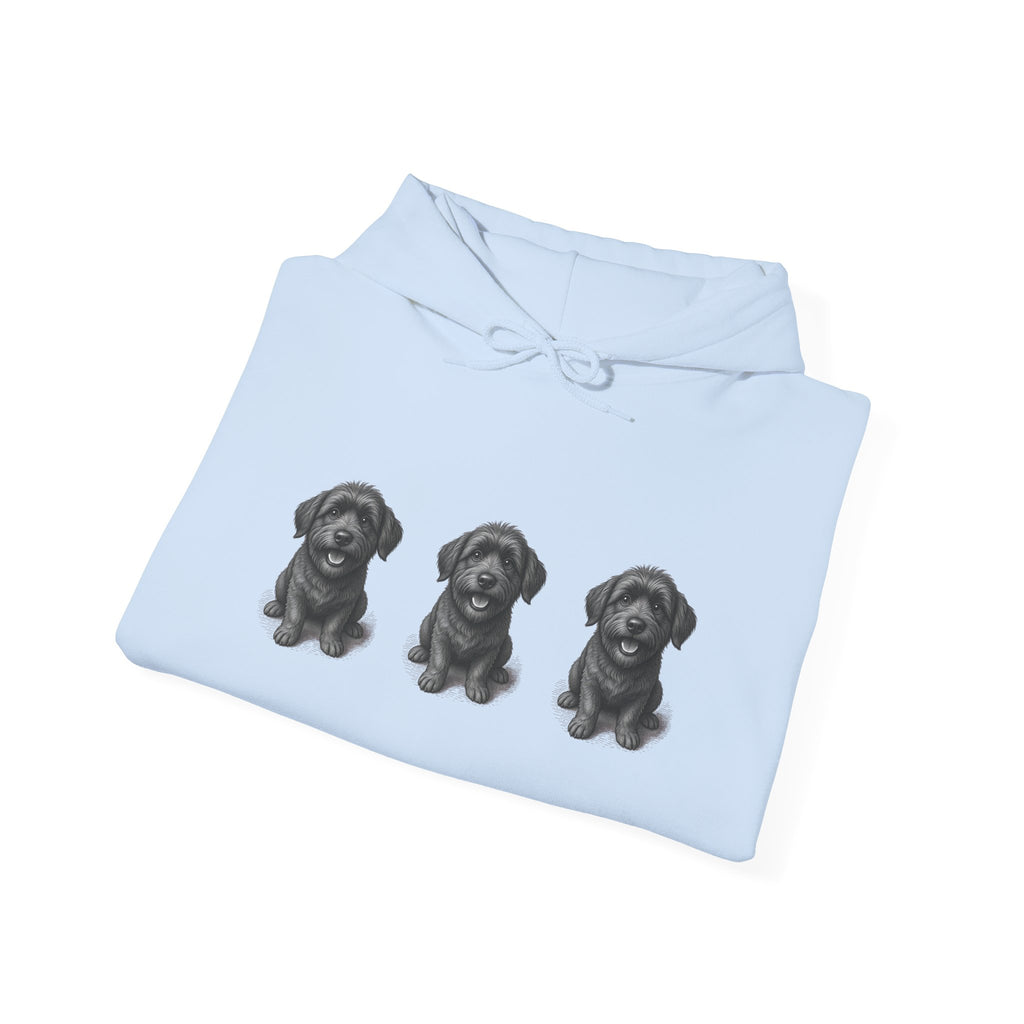 Three Schnoodle Puppies Hoodie