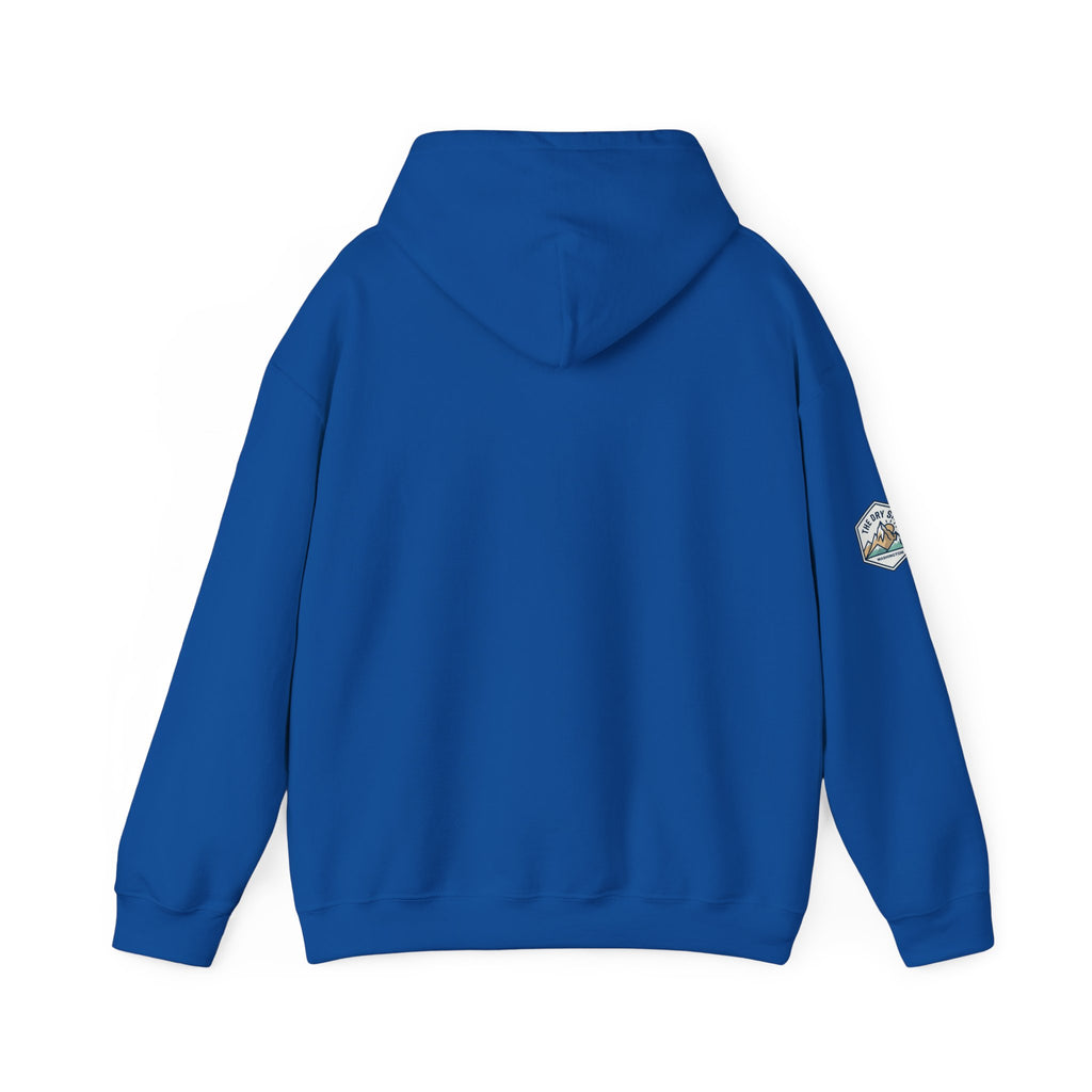 Three Schnoodle Puppies Hoodie