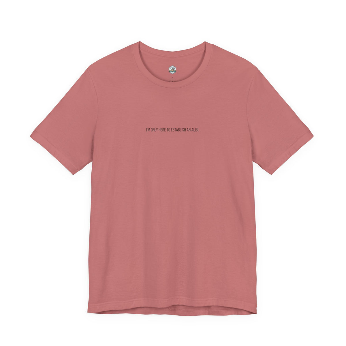 I Am Only Here for an Alibi Minimalist Graphic T-Shirt