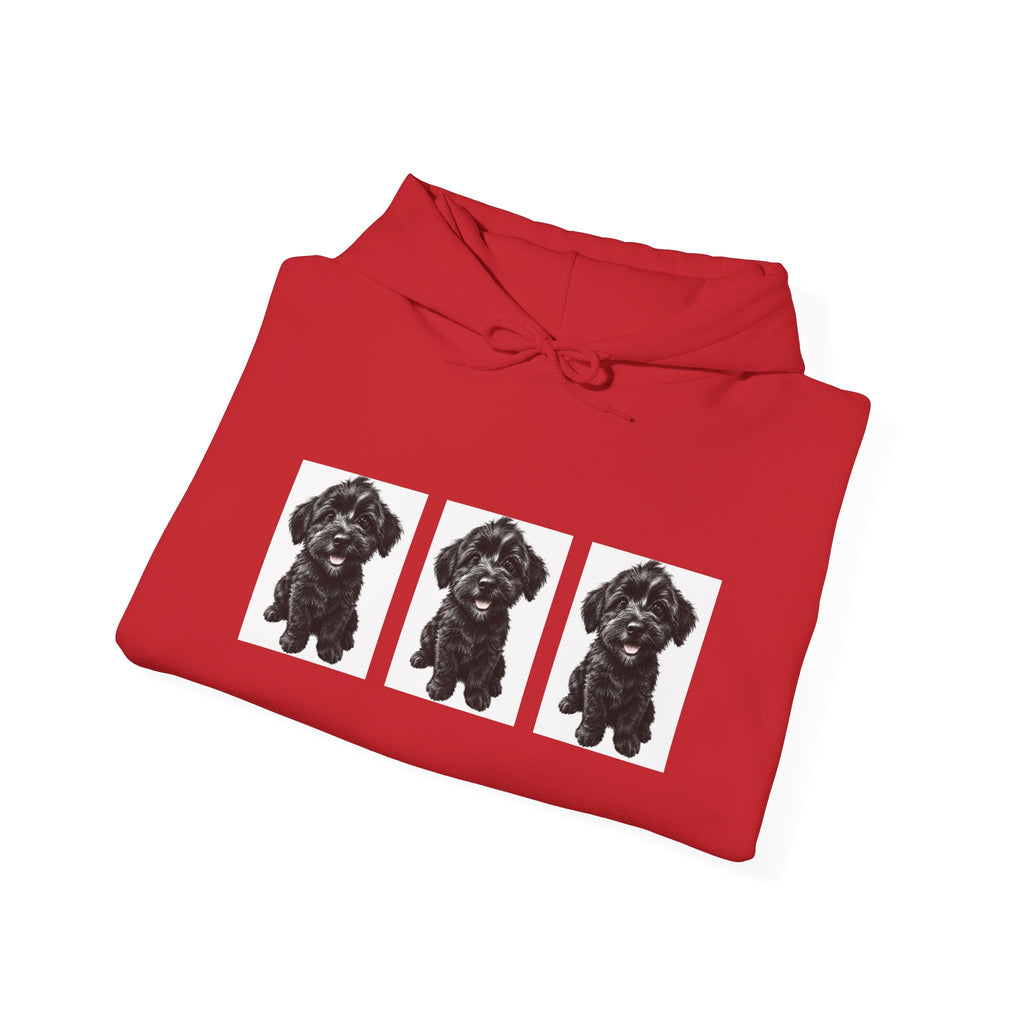 Three Black Schnoodle Puppy Graphic Hoodie