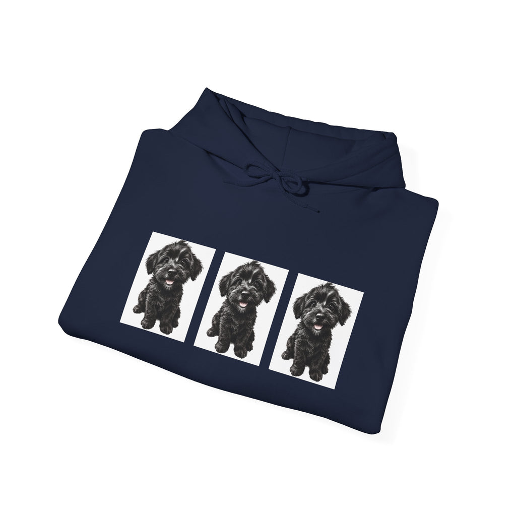Three Black Schnoodle Puppy Graphic Hoodie