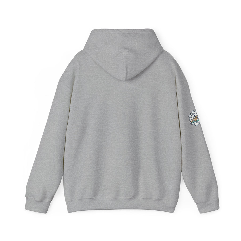 Three Black Schnoodle Puppy Graphic Hoodie