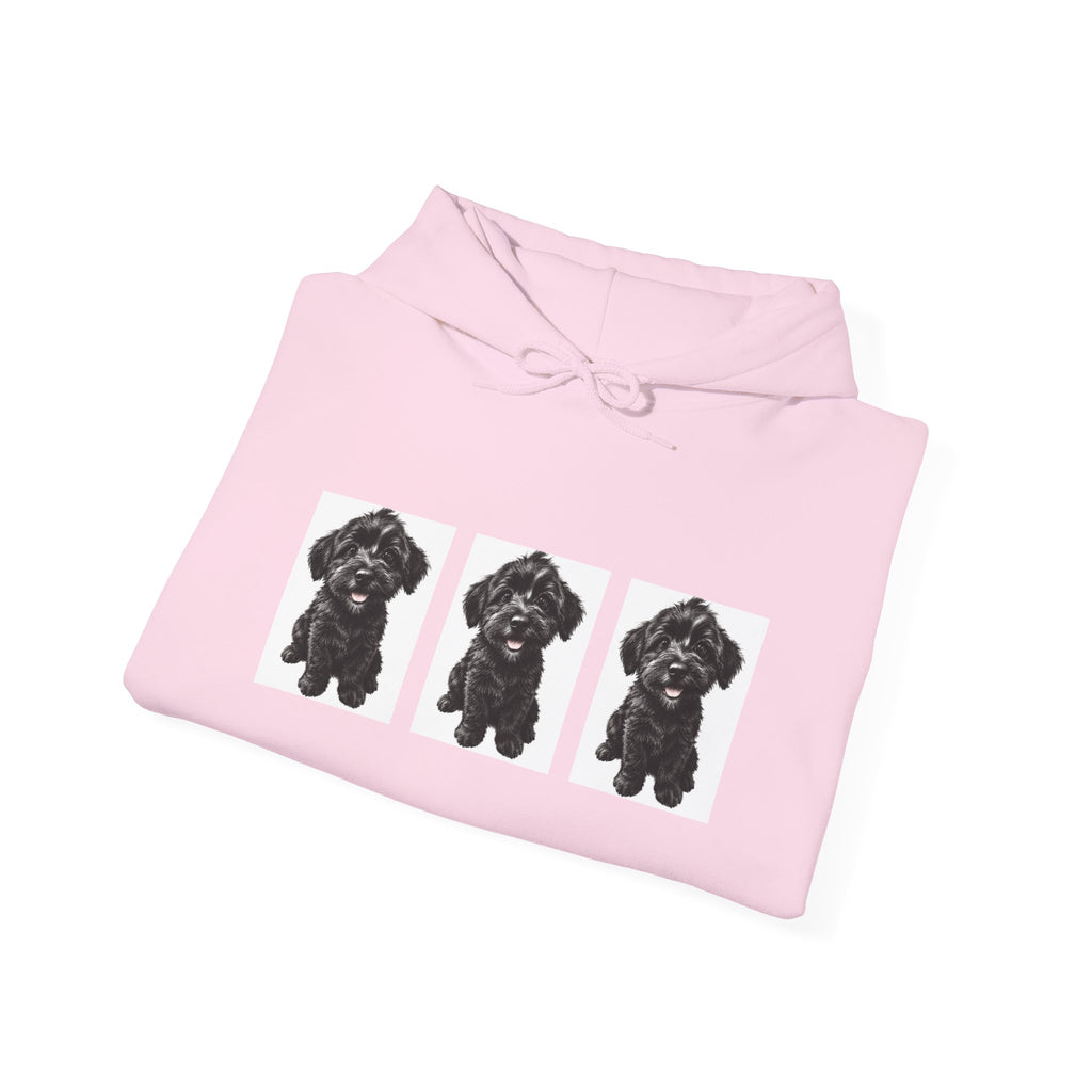 Three Black Schnoodle Puppy Graphic Hoodie