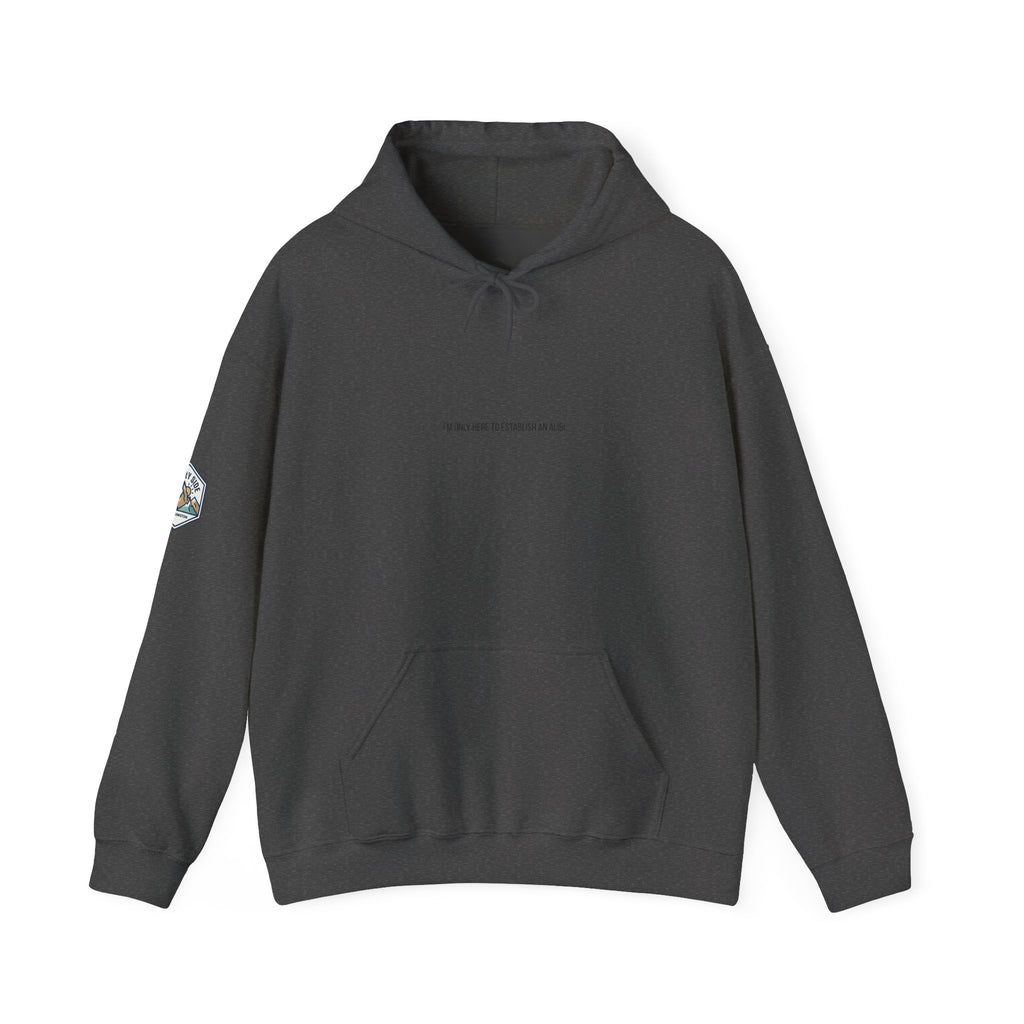 I Am Only Here for an Alibi Graphic Hoodie