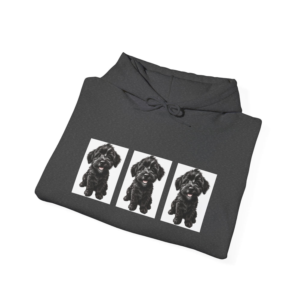 Three Black Schnoodle Puppy Graphic Hoodie