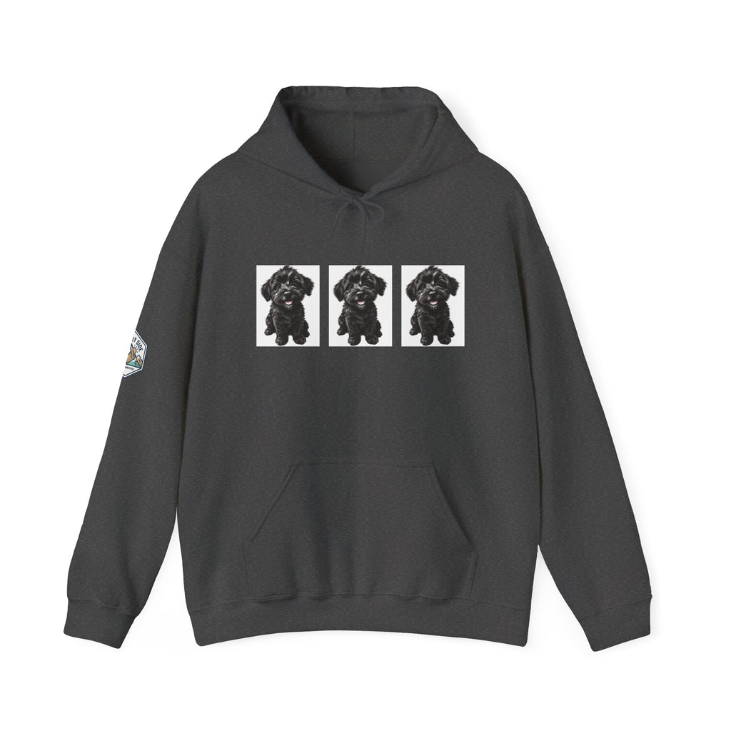 Three Black Schnoodle Puppy Graphic Hoodie