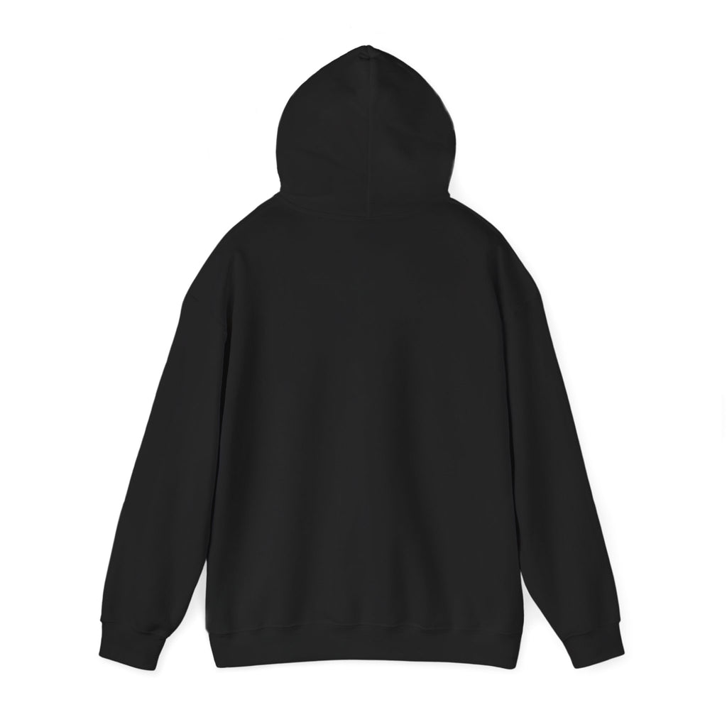 Sweat à capuche graphique « Je ne suis ici que pour un alibi »