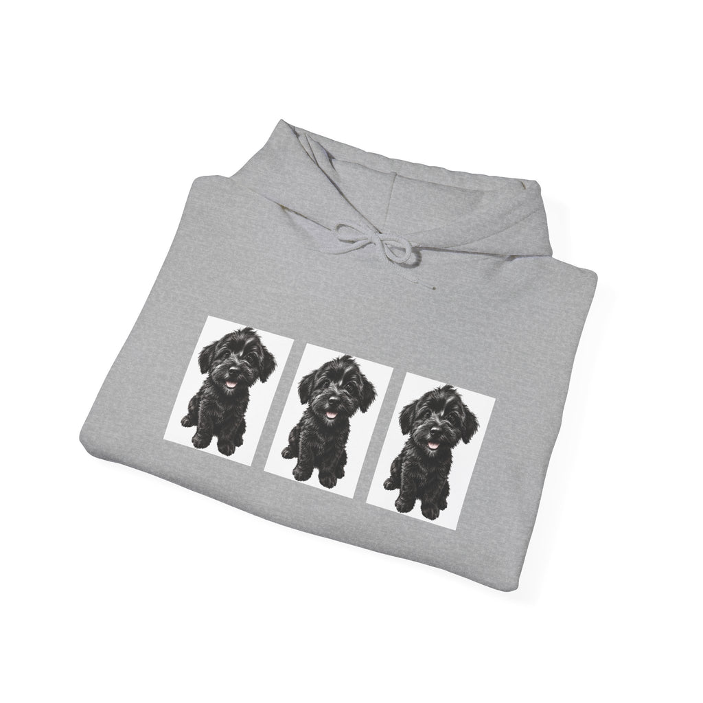 Three Black Schnoodle Puppy Graphic Hoodie