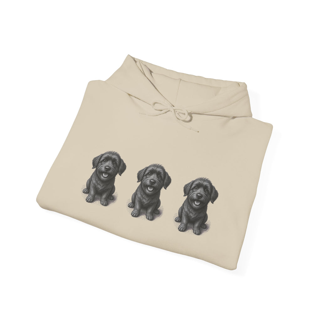 Three Schnoodle Puppies Hoodie