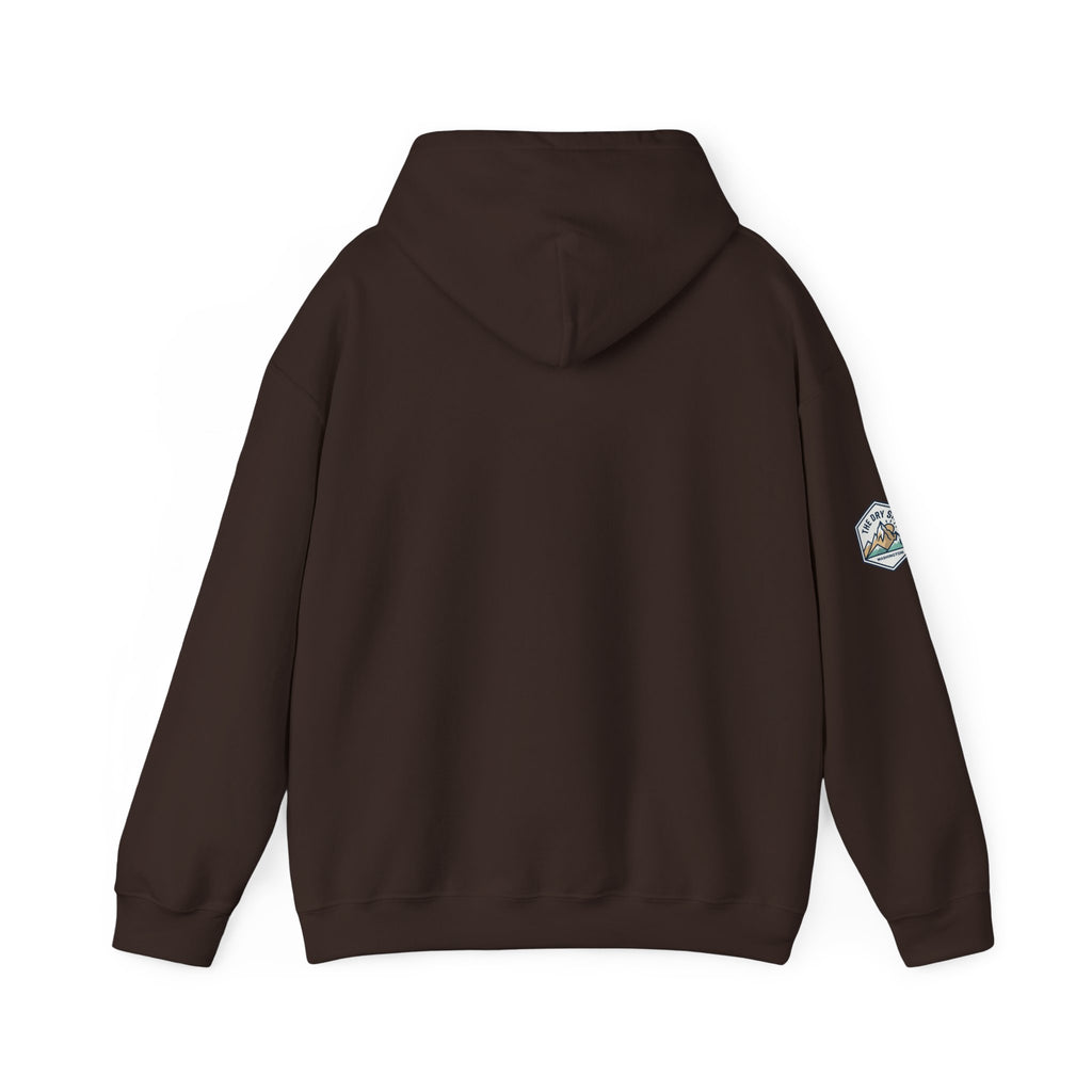 Three Schnoodle Puppies Hoodie