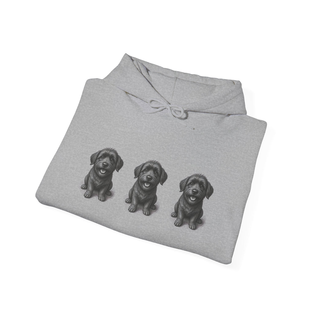 Three Schnoodle Puppies Hoodie